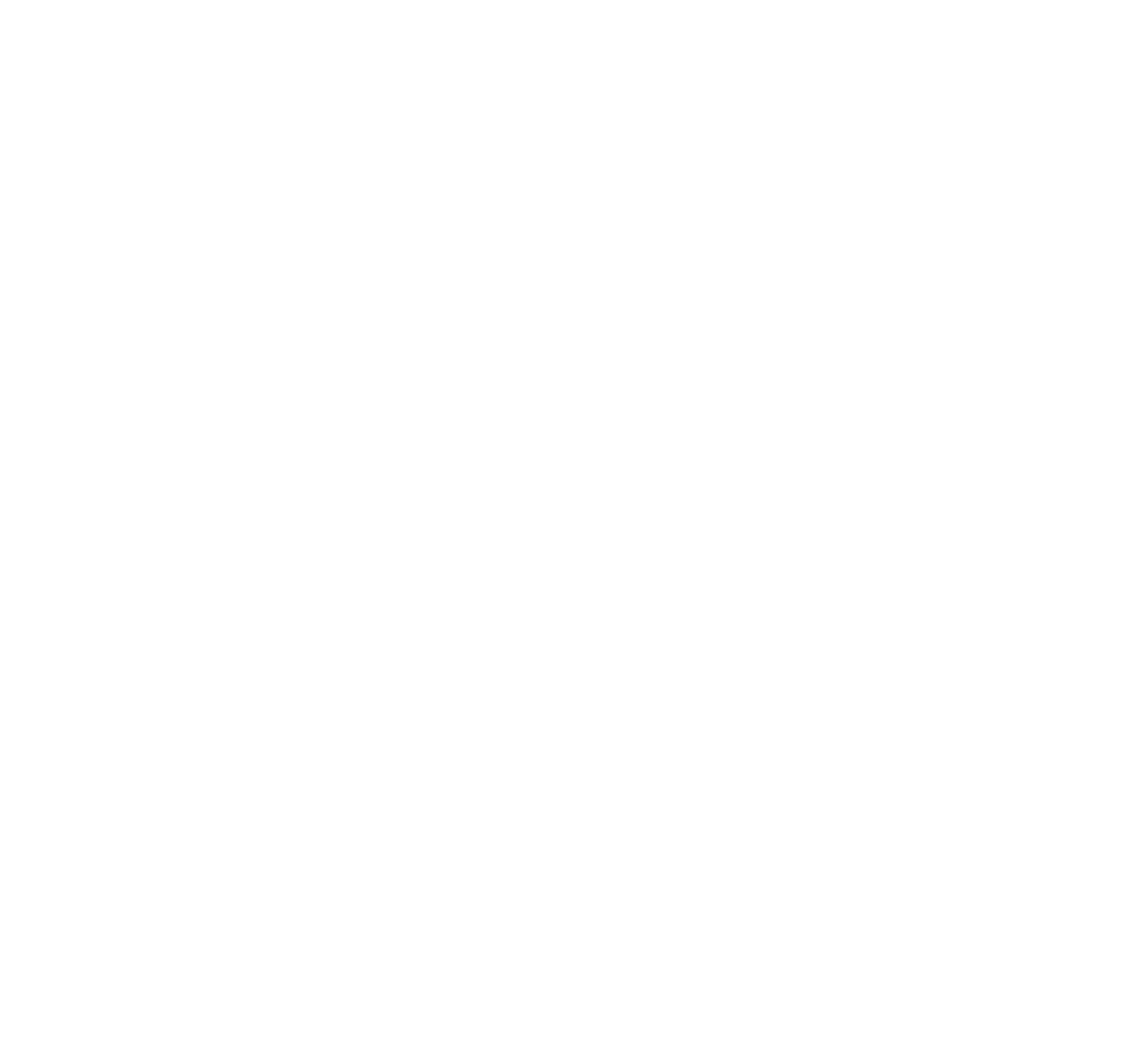Vip Acadamy logo